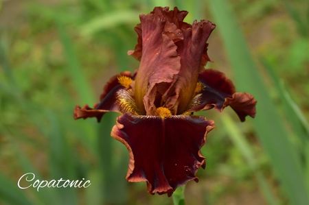 AddText_05-27-02.02.00