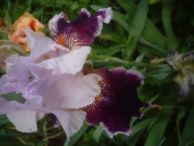 P1480372