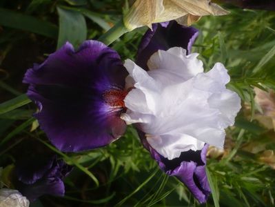 P1480376