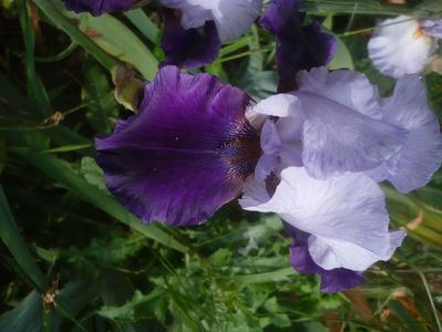 P1480379