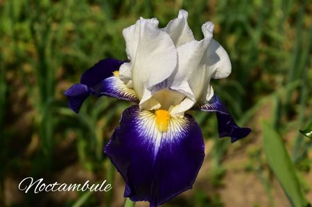 AddText_05-28-02.18.21