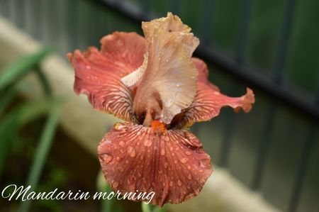 AddText_05-28-02.12.27