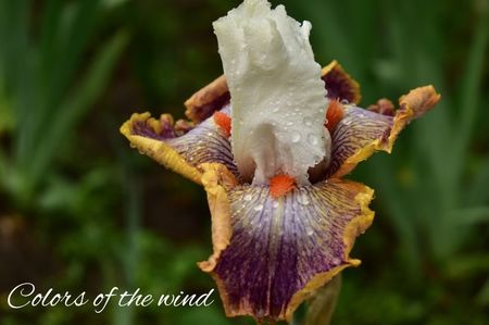 AddText_05-28-02.08.22