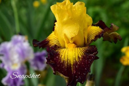 AddText_05-28-02.07.01