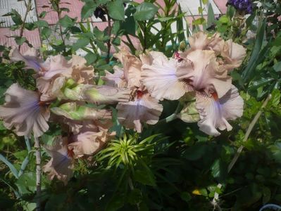 P1480395