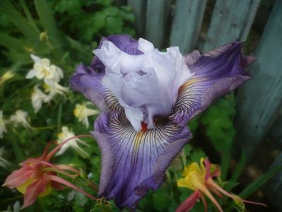 P1480402
