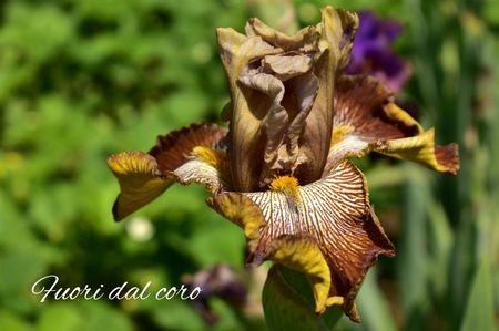 AddText_05-29-05.07.37