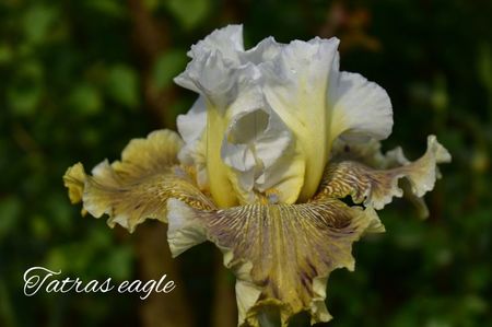 AddText_05-30-12.03.07