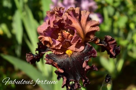 AddText_05-30-12.01.36