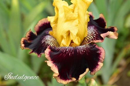 AddText_05-31-02.27.15