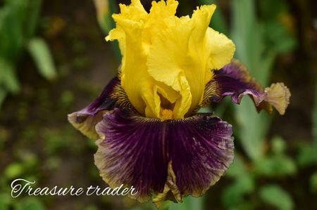 AddText_05-31-02.23.27