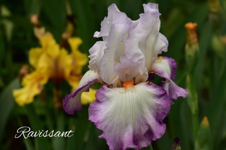 AddText_06-02-01.58.36