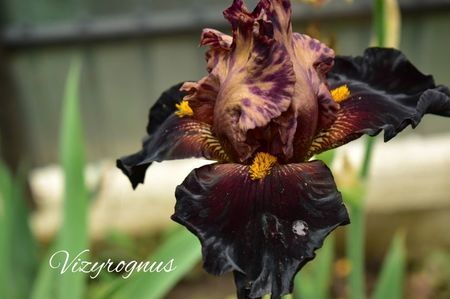 AddText_06-02-01.55.55