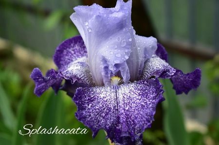 AddText_06-03-02.07.33