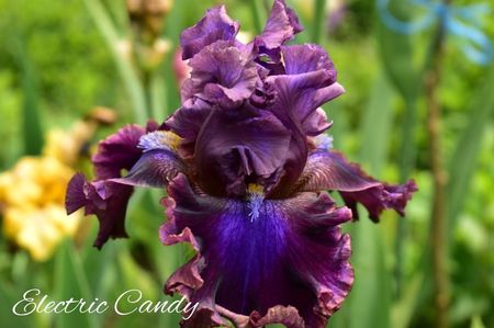 AddText_06-03-02.05.51