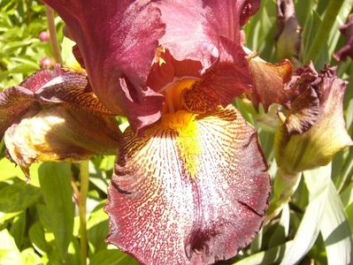 P1370892