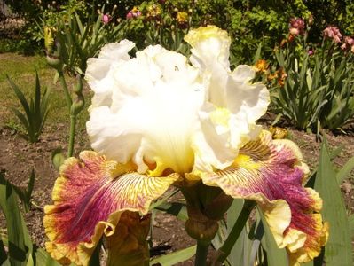 P1370893