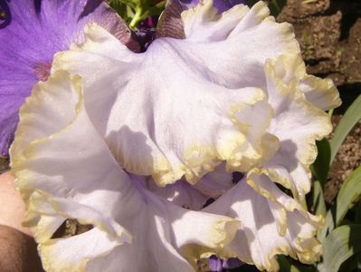 P1370904