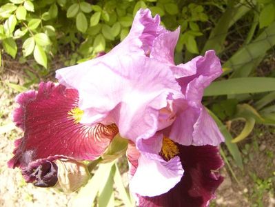 P1380122