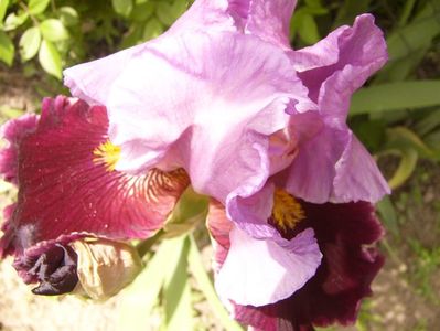 P1380123