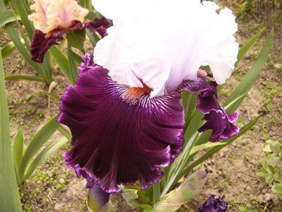 P1380137