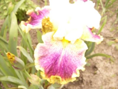 P1380153