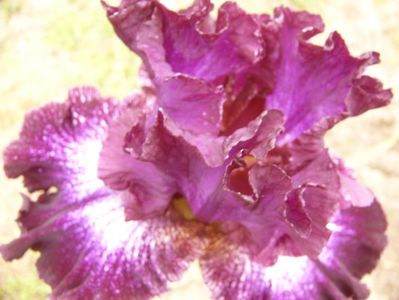 P1380156