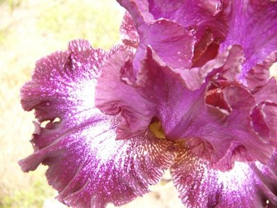 P1380157