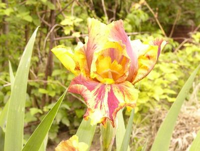 P1380178