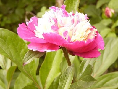 P1380192