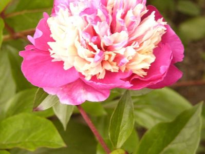 P1380193