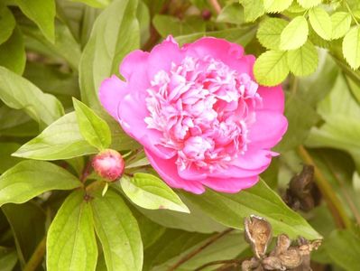 P1380201