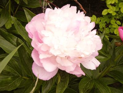 P1380212