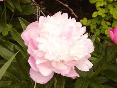 P1380213