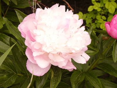 P1380214