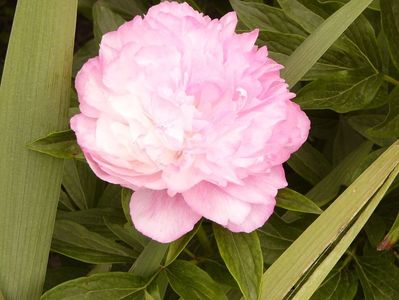 P1380217