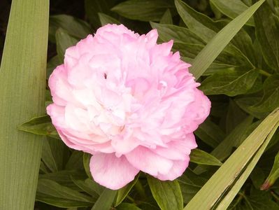 P1380219