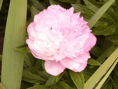 P1380220