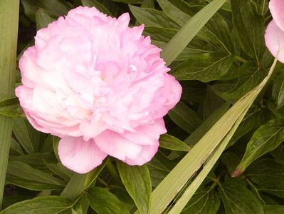 P1380221