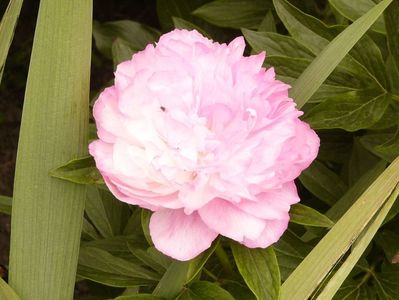 P1380222
