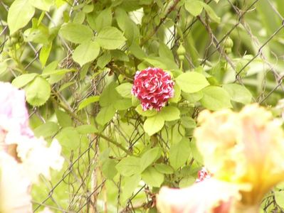 P1380223