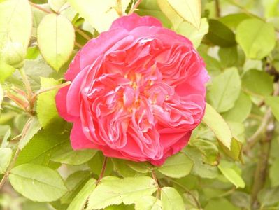 P1380238