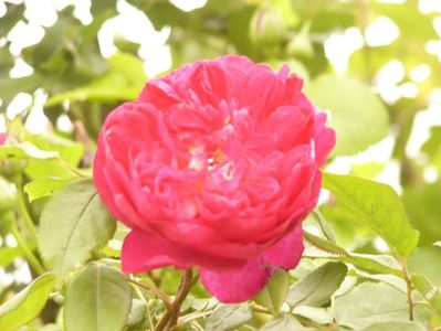 P1380241