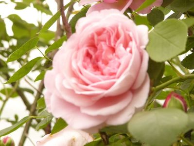 P1380244
