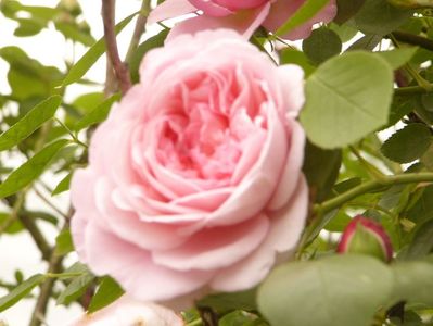 P1380246