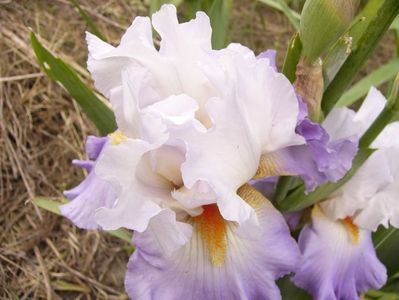 P1380358