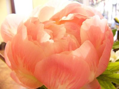 P1380369