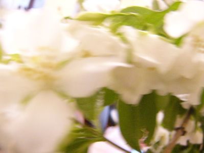 P1380373
