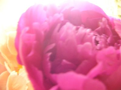 P1380378