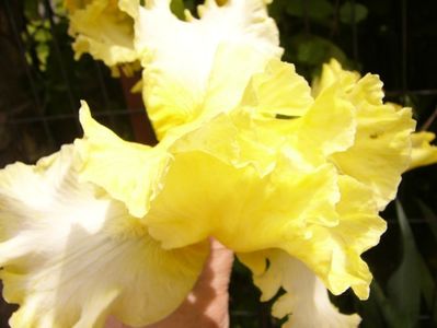 P1380399